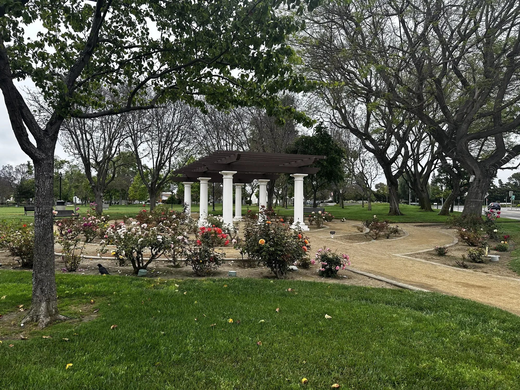 Camarillo